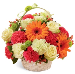Best Year Basket from Lloyd's Florist, local florist in Louisville,KY